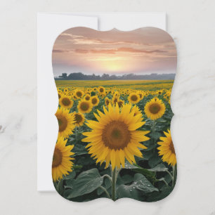 Carte Serenade de tournesol : Une scène de lever de sole