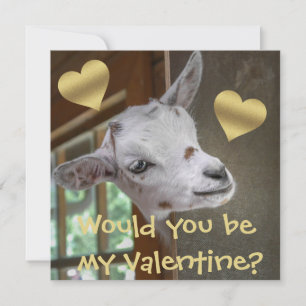 Carte Seriez-Vous Ma Saint-Valentin ? Chèvre drôle Valen