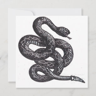 Carte Serpent Crotalus Cascavella (Vipère à Piton Venime