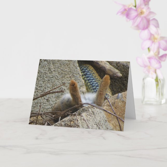 Carte Serpent et Rabat Montpellier (Orchidée)