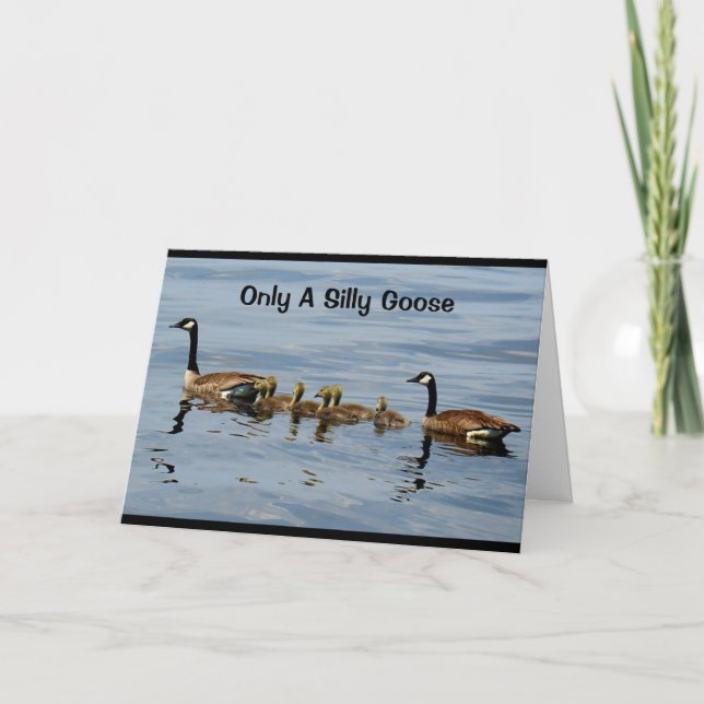 Carte Seule Une Oie Silencieuse Oublierait Votre Anniver (Devant)