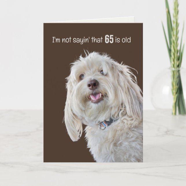 Carte Shaggy Poodle pour 65e Humour d'anniversaire (Devant)