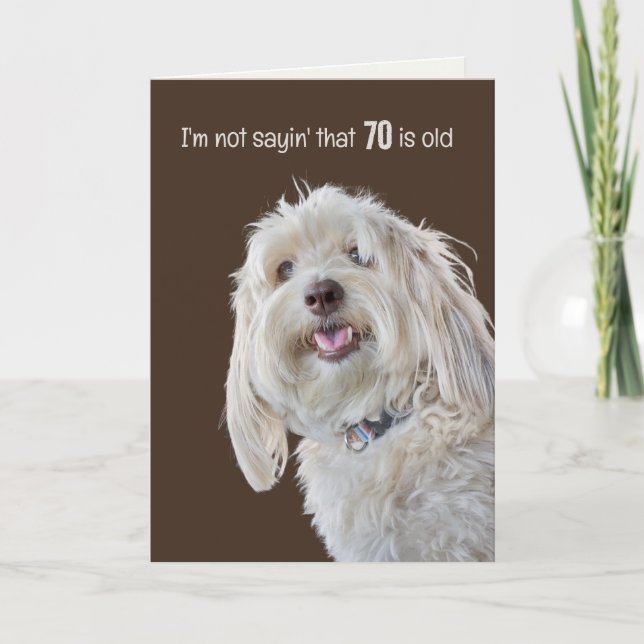 Carte Shaggy Poodle pour 70e Humour d'anniversaire (Devant)
