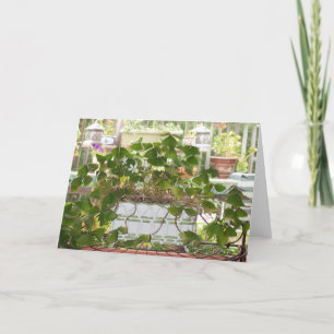 Carte Shamrocks de floraison