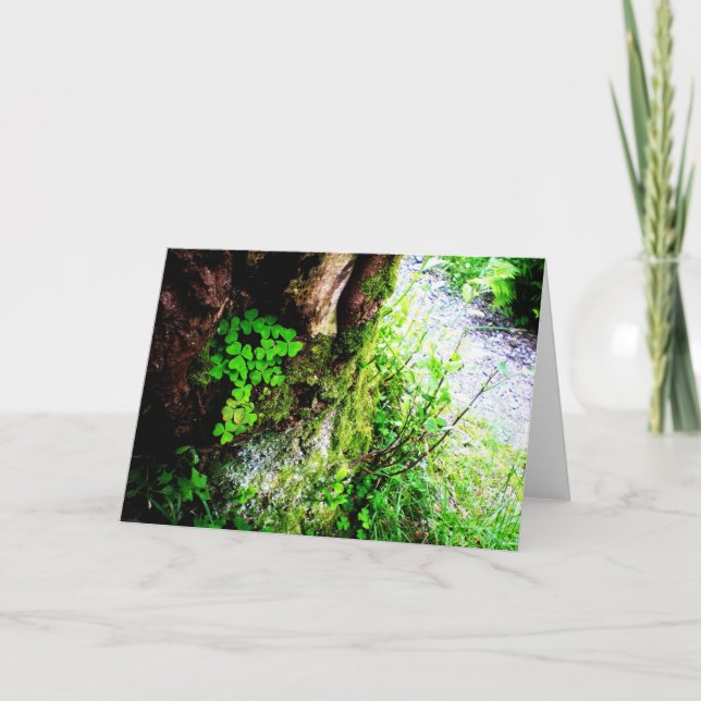 Carte Shamrocks de moines (Devant)