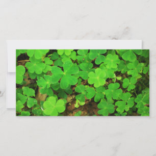 Carte Shamrocks sauvages