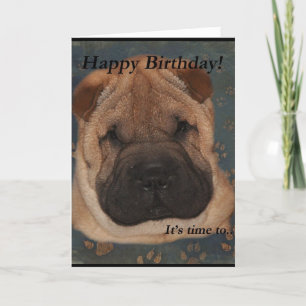 Carte Shar Pei Anniversaire Paws Pris