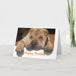 Carte Shar Pei Birthday