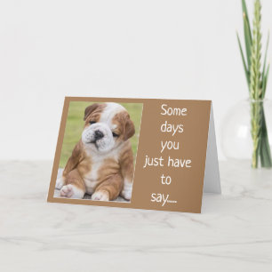 CARTE SHAR PEI IS A COMEDIAN FOR YOUR BIRTHDAY