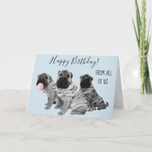 Carte Shar Pei Joyeux Anniversaire De Nous Tous Chiot