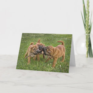 Carte Shar-Pei Pups with Stick Greeting Card