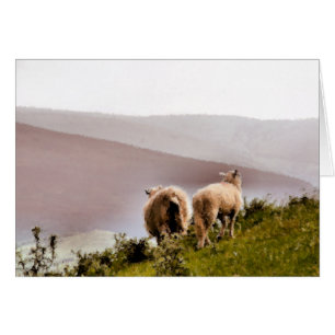 CARTE SHEEP