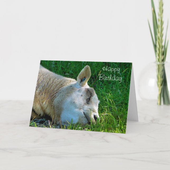 CARTE SHEEP (Devant)