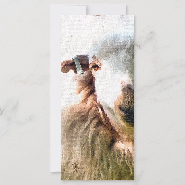 CARTE SHEEP CUITE (Devant)