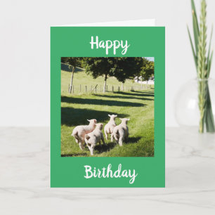 CARTE SHEEP ON THE FUN DIT **HEUREUX ANNIVERSAIRE"