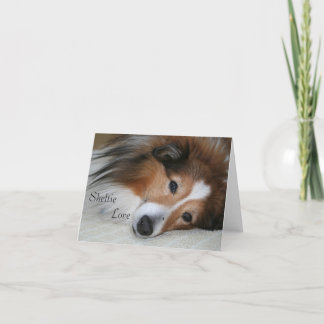 Carte Sheltie Love