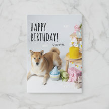 🐶 Shiba Inu Bliss 🐶 votre Marche à voile Anniver