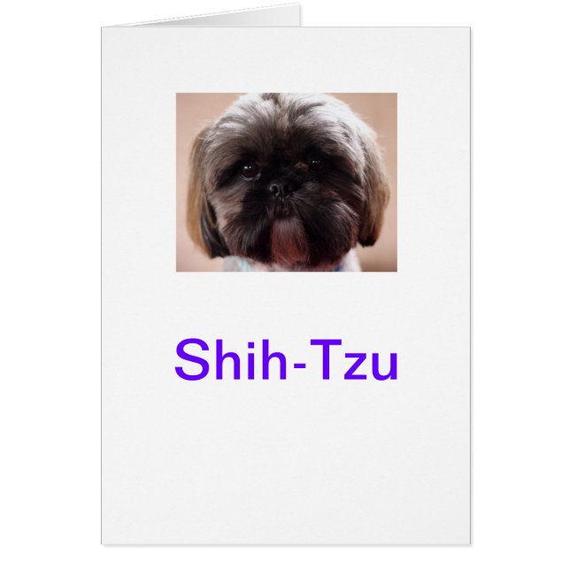 Carte Shih-Tzu (Devant)