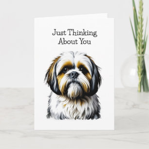 Carte Shih Tzu Amoureux de les chiens   Réfléchissez à v