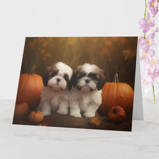 Carte Shih Tzu chiot Automne Délice Citrouille  (Orchidée)