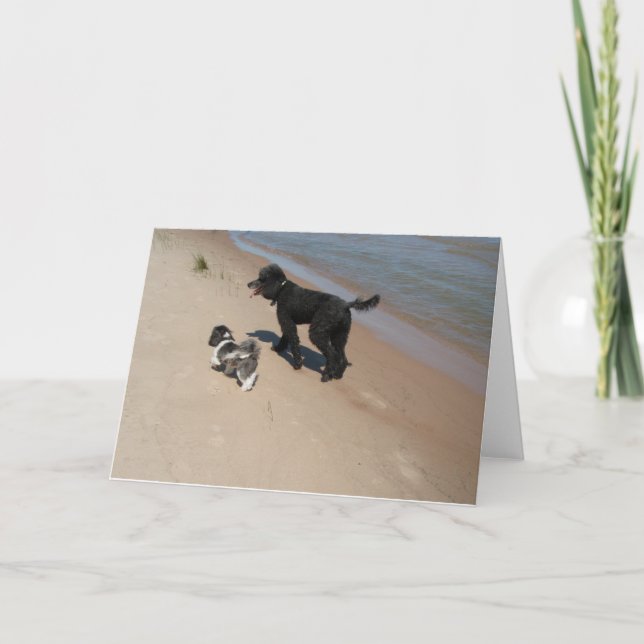 Carte Shih-Tzu et les amis des canicules sur la plage (Devant)