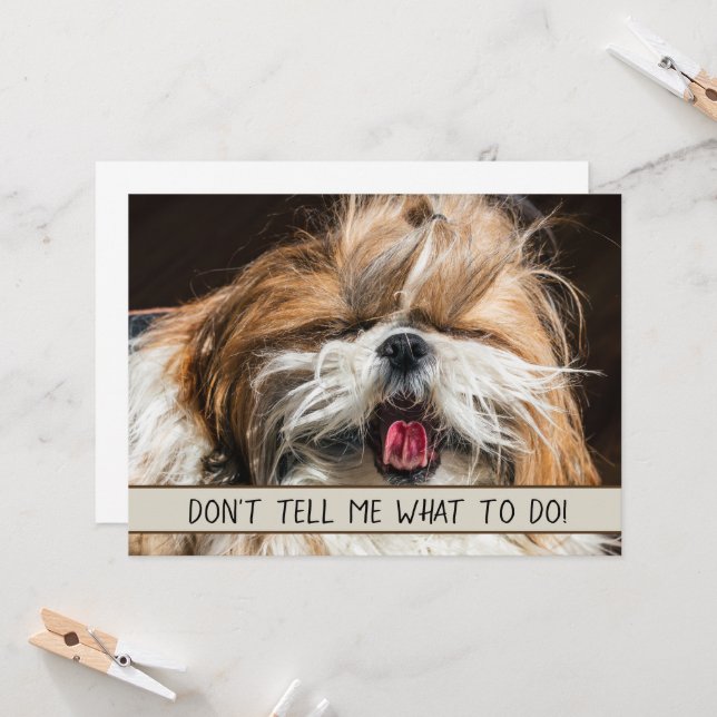 Carte Shih tzu langue drôle Ne me dites pas ce que faire (Devant/Arrière en situation)