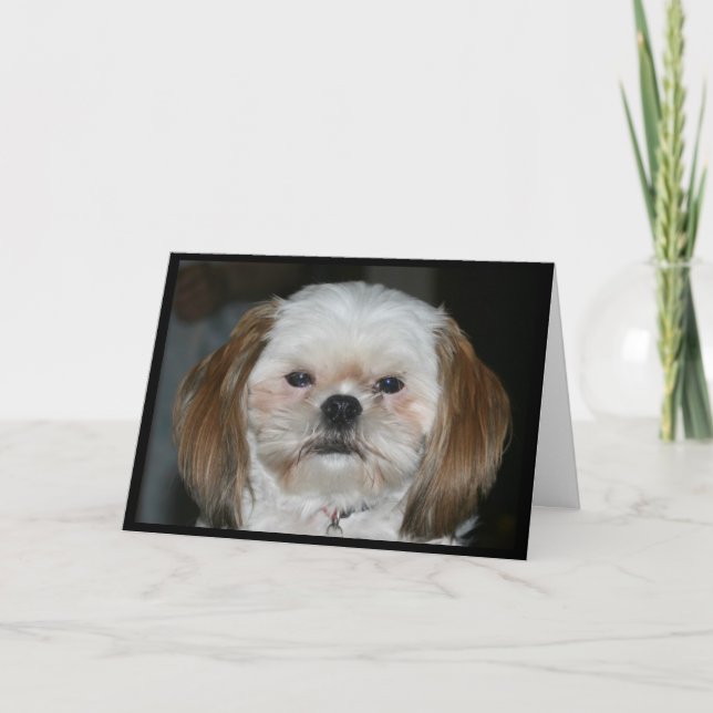 Carte Shih Tzu meilleur obtiennent bien bientôt ! (Devant)