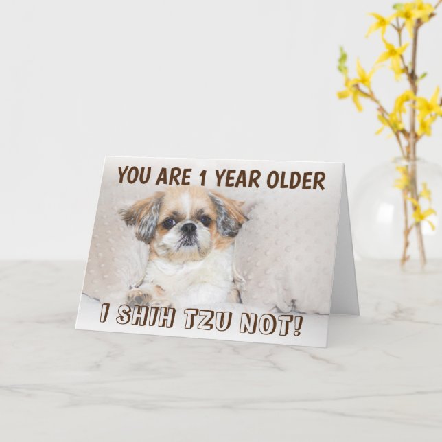 Carte Shih tzu pas mignon anniversaire 1 an plus de salu (Fleur jaune)