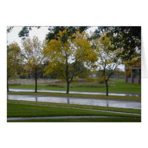 Carte Shiny Boulevard