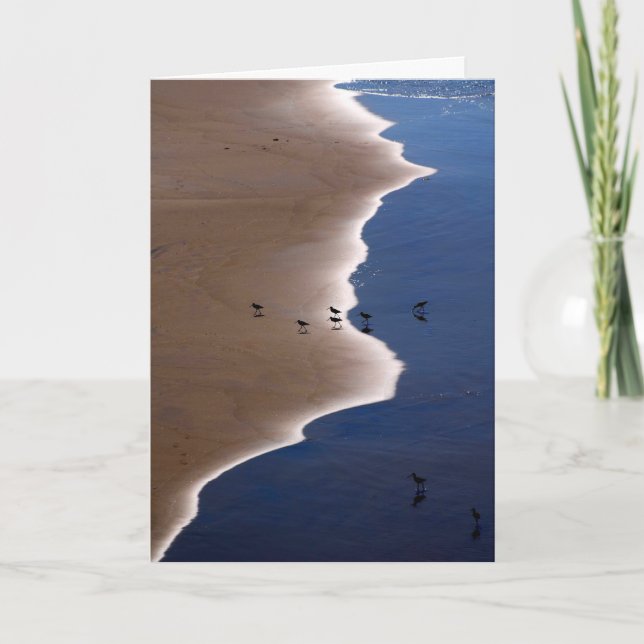 Carte Shoreline (Devant)