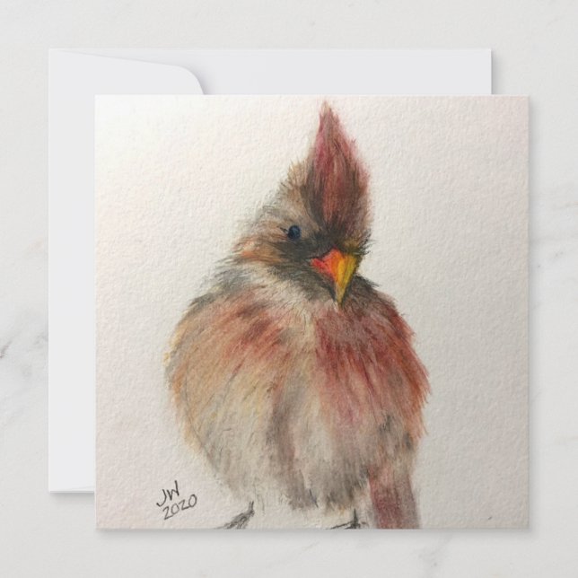 Carte Shy Red Bird Note (Devant)