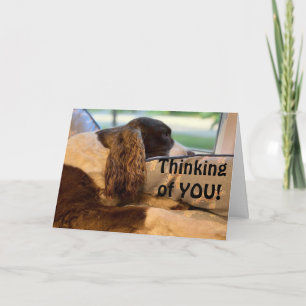 CARTE SI HEUREUX ET VOUS FÉLICITE