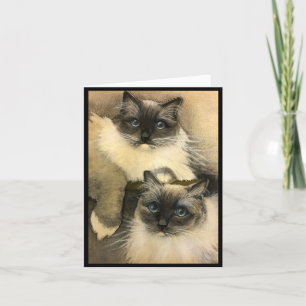 Carte Si les chats pouvaient parler