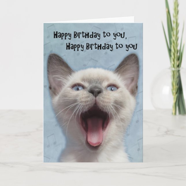 Carte siamoise de chaton de joyeux anniversaire (Devant)
