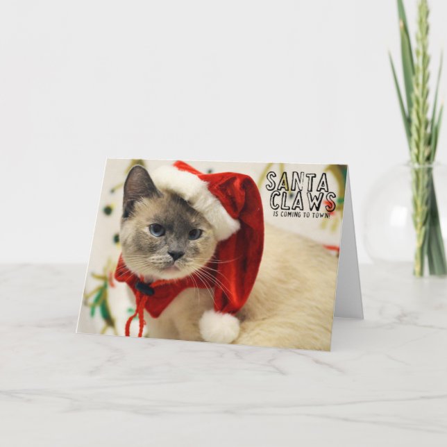 Carte siamoise de Père Noël de délivrance de chat (Devant)