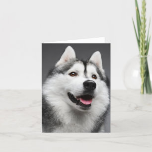Carte Sibérie Husky Puppy Dog - Bonjour, Amour, Mademois