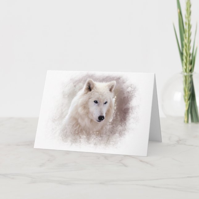 CARTE SIBÉRIEN BLANC HUSKY. (Devant)