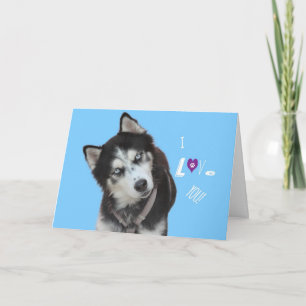 Carte Sibérienne Husky Birthday Card