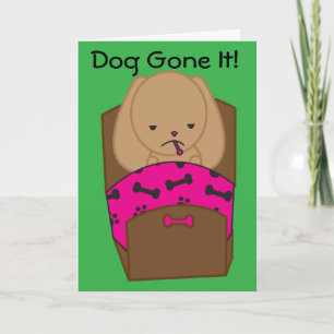 Carte Sick Dog Get Well Card