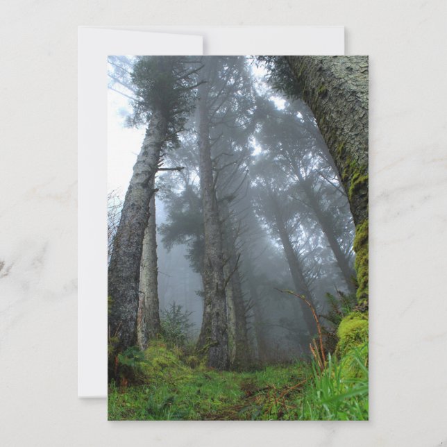 Carte Signature : Matte 5" x 7", enveloppes blanches sta (Devant)