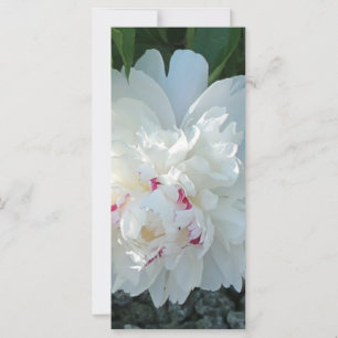 Carte Signet de pivoine romantique