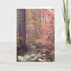 Carte Silence & Sweetness