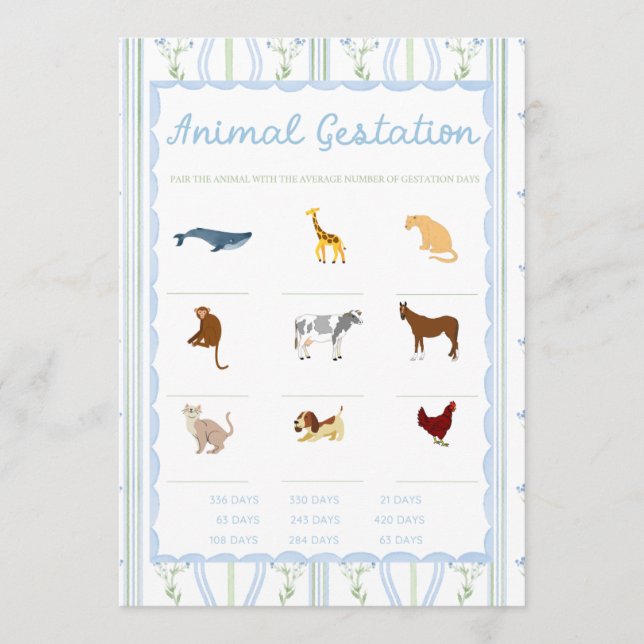 Carte Silly Little Goose Baby Shower Games (Devant)