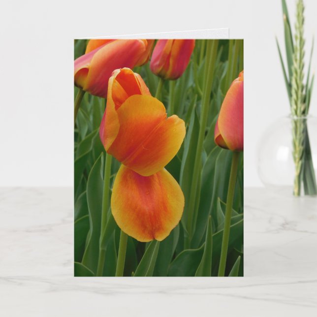 Carte simple avec tulipe dorée (Devant)