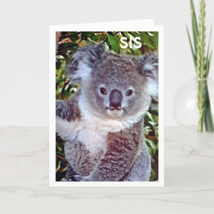 CARTE SIS CETTE "CARTE D'ANNIVERSAIRE DE KOALA EST JUSTE
