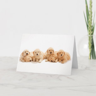 Carte Six Marionnettes Golden Retriever