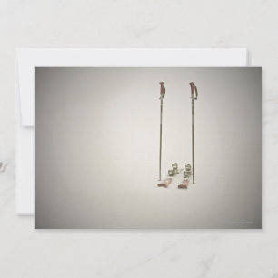 Carte Skis et pôles vides