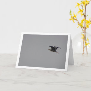 Carte Sky Gris Heron Bird