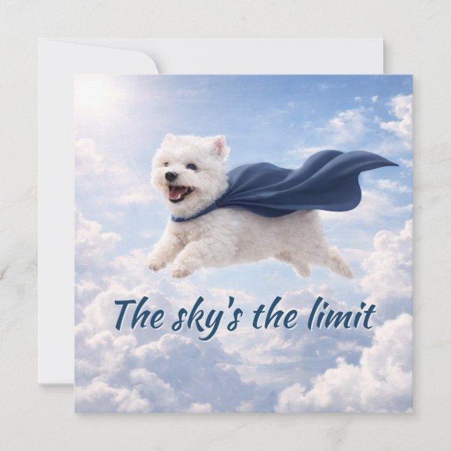 Carte Sky's the Limit (Devant)