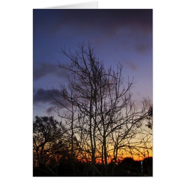 Carte Skyscapes #001 (Devant)